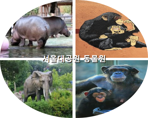 경기도 서울대공원 동물원